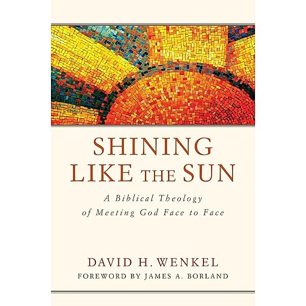 Shining Like the Sun, David H. Wenkel