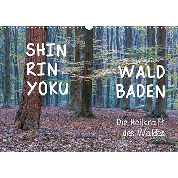 Shinrin yoku - Waldbaden 2022 (Wandkalender 2022 DIN A3 quer), Irma van der Wiel  www.kalender-atelier.de