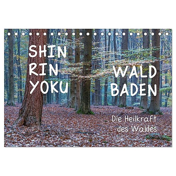 Shinrin yoku - Waldbaden 2024 (Tischkalender 2024 DIN A5 quer), CALVENDO Monatskalender, Irma van der Wiel www.kalender-atelier.de