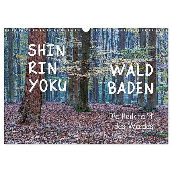 Shinrin yoku - Waldbaden 2024 (Wandkalender 2024 DIN A3 quer), CALVENDO Monatskalender, Irma van der Wiel www.kalender-atelier.de