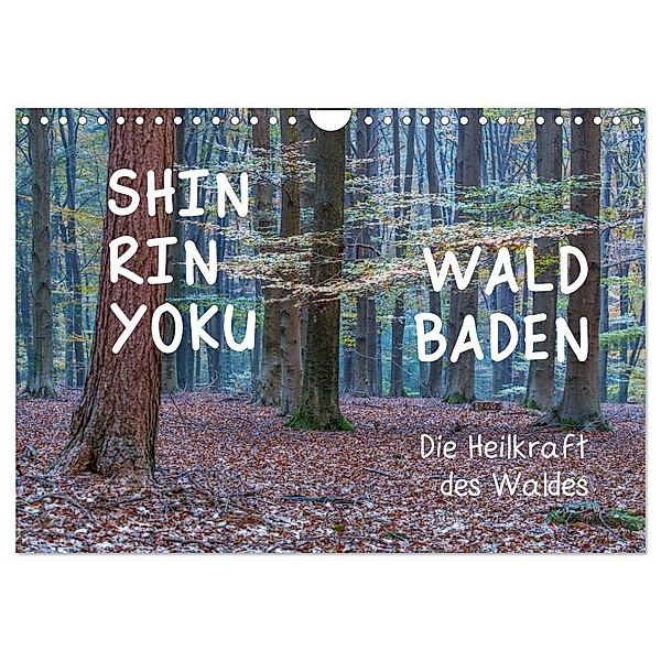 Shinrin yoku - Waldbaden 2024 (Wandkalender 2024 DIN A4 quer), CALVENDO Monatskalender, Irma van der Wiel www.kalender-atelier.de