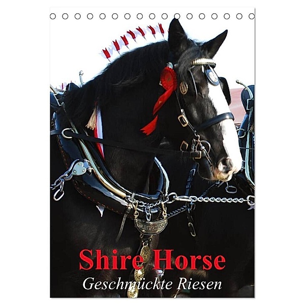 Shire Horse - Geschmückte Riesen (Tischkalender 2024 DIN A5 hoch), CALVENDO Monatskalender, Elisabeth Stanzer