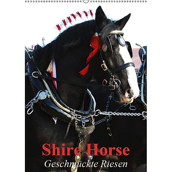 Shire Horse - Geschmückte Riesen (Wandkalender 2019 DIN A2 hoch), Elisabeth Stanzer