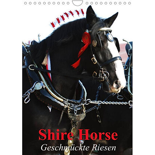 Shire Horse - Geschmückte Riesen (Wandkalender 2022 DIN A4 hoch), Elisabeth Stanzer