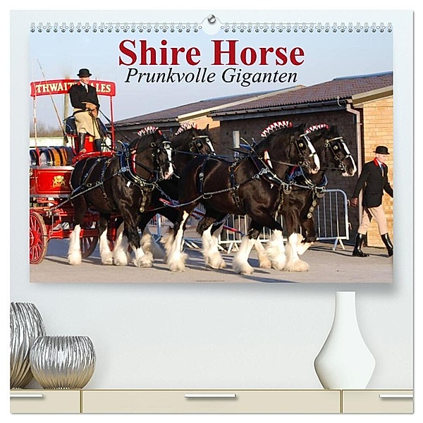 Shire Horse - Prunkvolle Giganten (hochwertiger Premium Wandkalender 2024 DIN A2 quer), Kunstdruck in Hochglanz, Elisabeth Stanzer