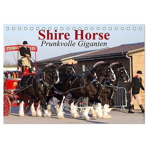 Shire Horse - Prunkvolle Giganten (Tischkalender 2024 DIN A5 quer), CALVENDO Monatskalender, Elisabeth Stanzer