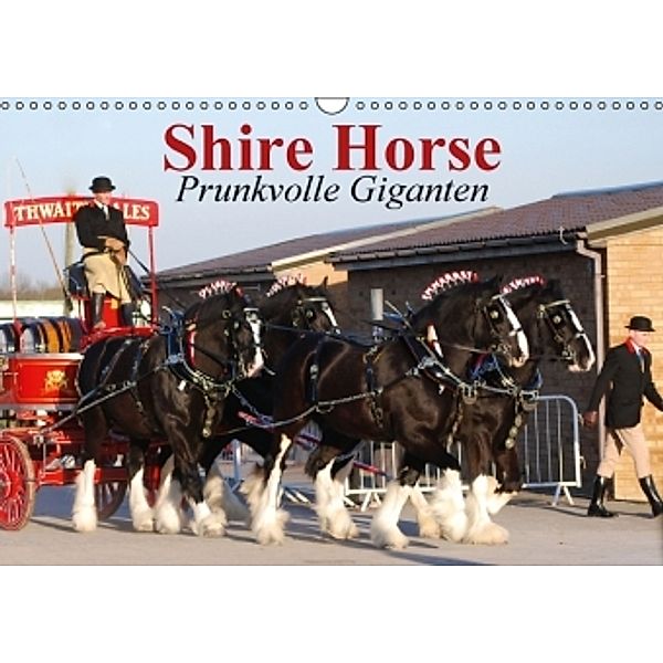 Shire Horse Prunkvolle Giganten (Wandkalender 2015 DIN A3 quer), Elisabeth Stanzer
