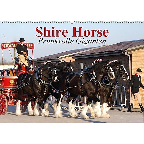 Shire Horse - Prunkvolle Giganten (Wandkalender 2017 DIN A2 quer), Elisabeth Stanzer