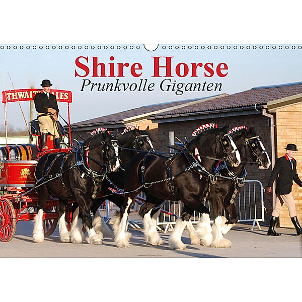 Shire Horse - Prunkvolle Giganten (Wandkalender 2019 DIN A3 quer), Elisabeth Stanzer