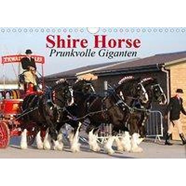 Shire Horse - Prunkvolle Giganten (Wandkalender 2020 DIN A4 quer), Elisabeth Stanzer