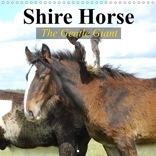 Shire Horse - The gentle giant (Wall Calendar 2022 300 × 300 mm Square), Elisabeth Stanzer