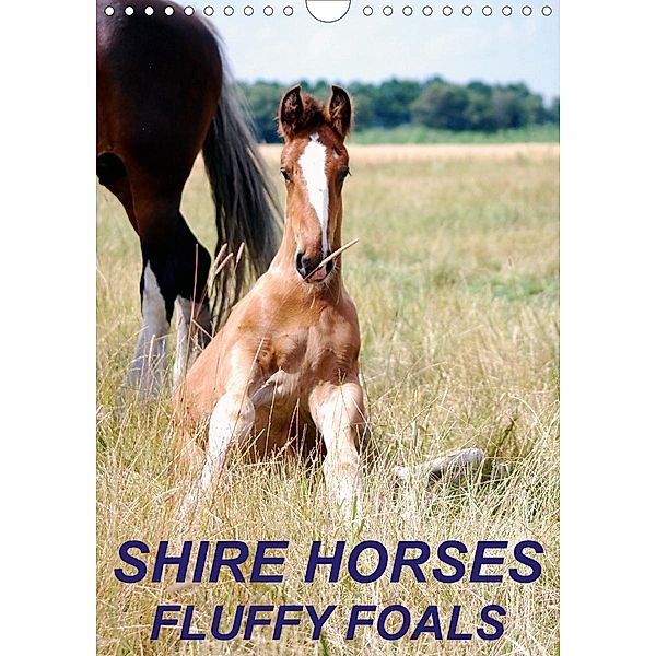 Shire Horses, Fluffy Foals (Wall Calendar 2021 DIN A4 Portrait), Liesbeth Wesdijk