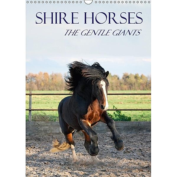 Shire Horses The Gentle Giants (Wall Calendar 2017 DIN A3 Portrait), Liesbeth Wesdijk