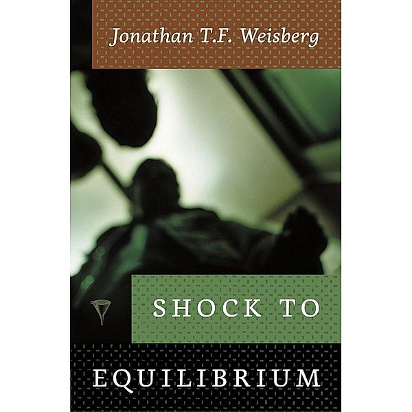 Shock to Equilibrium / Stoneslide Books, Jonathan T. F. Weisberg