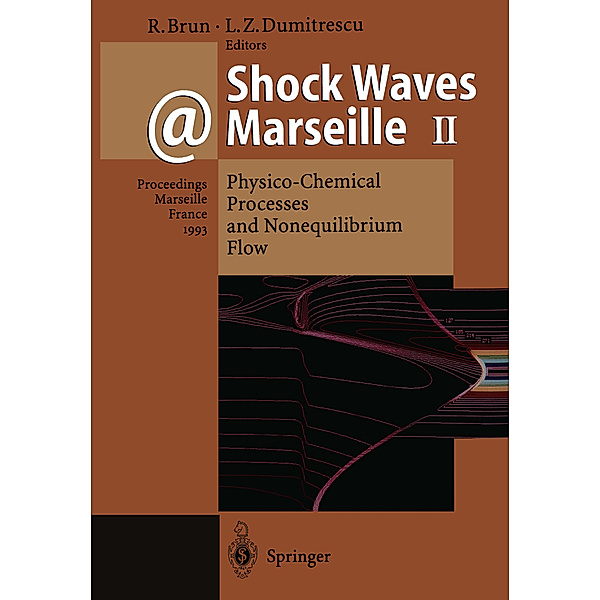 Shock Waves @ Marseille II