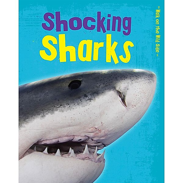 Shocking Sharks, Charlotte Guillain