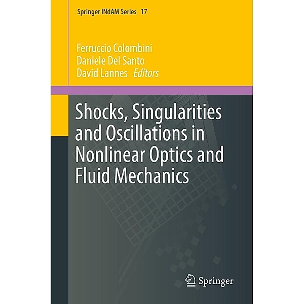 Shocks, Singularities and Oscillations in Nonlinear Optics and Fluid Mechanics / Springer INdAM Series Bd.17
