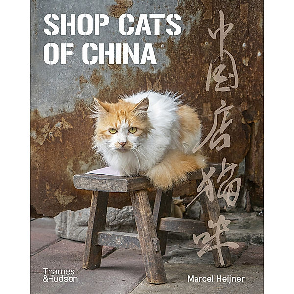 Shop Cats of China, Marcel Heijnen
