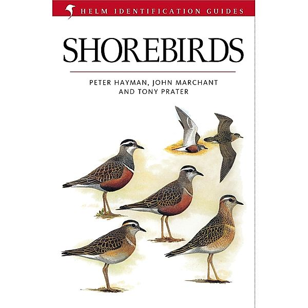 Shorebirds / Helm Identification Guides, John Marchant, Peter Hayman, Tony Prater