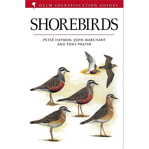 Shorebirds / Helm Identification Guides, John Marchant, Peter Hayman, Tony Prater