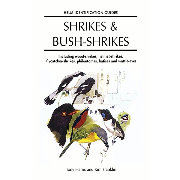 Shrikes and Bush-shrikes / Helm Identification Guides, Tony Harris