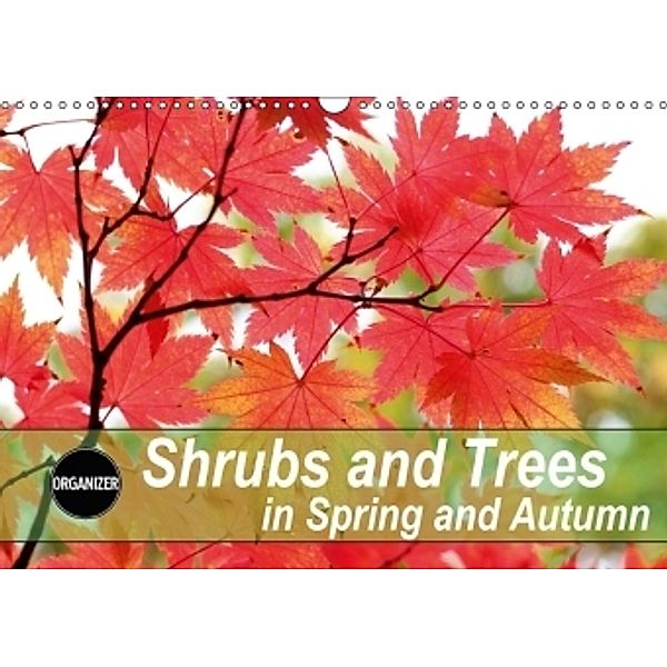 Shrubs and Trees in Spring and Autumn (Wall Calendar 2017 DIN A3 Landscape), Gisela Kruse