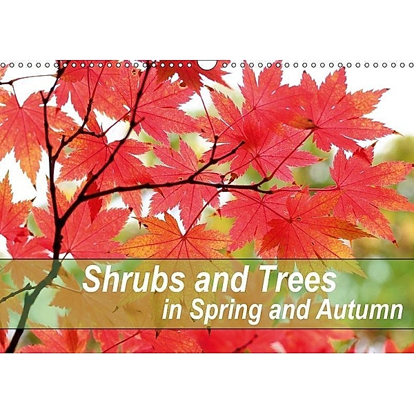 Shrubs and Trees in Spring and Autumn (Wall Calendar 2017 DIN A3 Landscape), Gisela Kruse