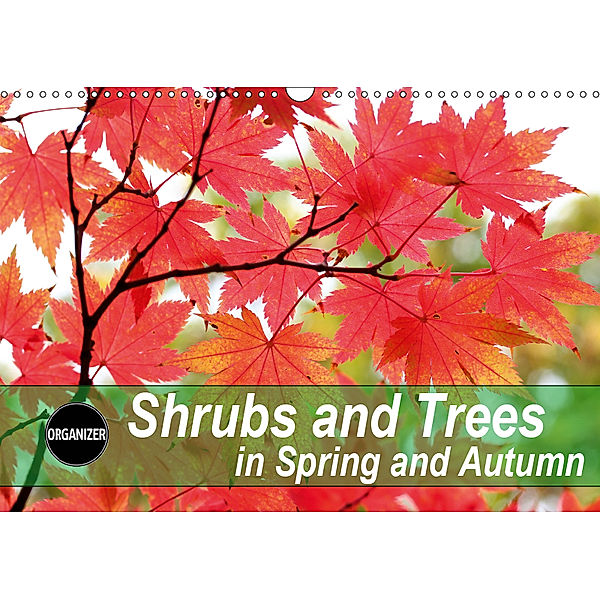 Shrubs and Trees in Spring and Autumn (Wall Calendar 2019 DIN A3 Landscape), Gisela Kruse