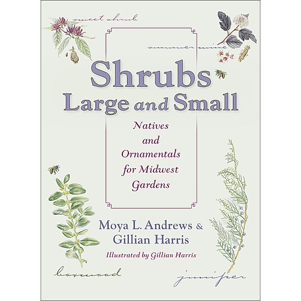 Shrubs Large and Small, Moya L. Andrews, Gillian Harris