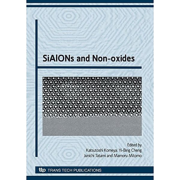 SiAlONs and Non-oxides