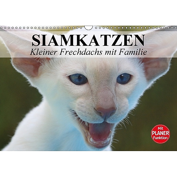 Siamkatzen - Kleiner Frechdachs mit Familie (Wandkalender 2018 DIN A3 quer) Dieser erfolgreiche Kalender wurde dieses Ja, Elisabeth Stanzer