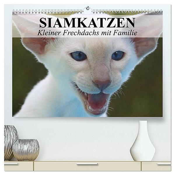 Siamkatzen - Kleiner Frechdachs mit Familie (hochwertiger Premium Wandkalender 2024 DIN A2 quer), Kunstdruck in Hochglanz, Elisabeth Stanzer