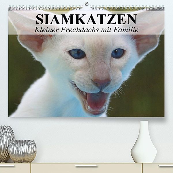 Siamkatzen - Kleiner Frechdachs mit Familie (Premium-Kalender 2020 DIN A2 quer), Elisabeth Stanzer