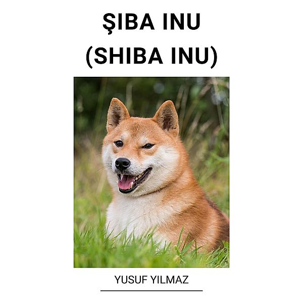 Siba Inu (Shiba Inu), Yusuf Yilmaz