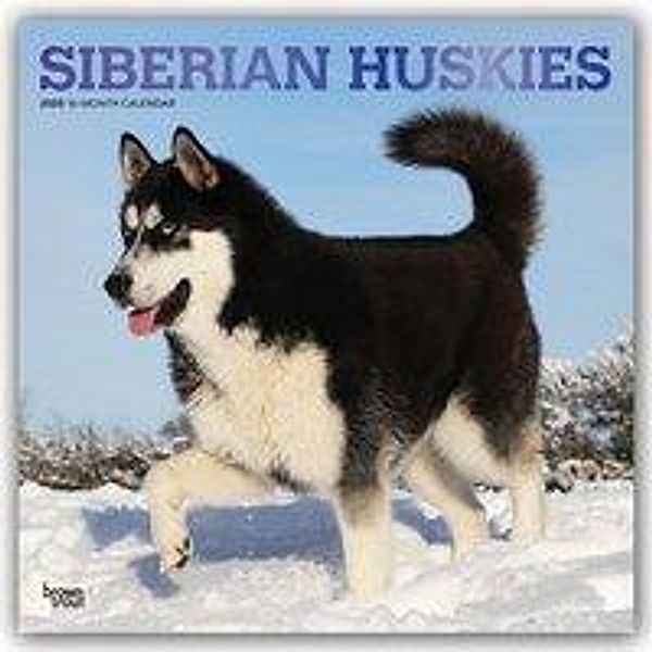 Siberian Huskies - Sibirische Huskies 2020, BrownTrout Publisher