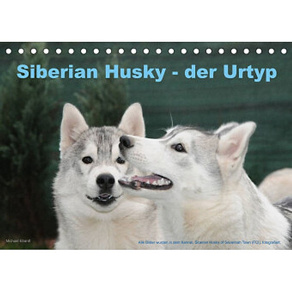 Siberian Husky - der Urtyp (Tischkalender 2022 DIN A5 quer), Michael Ebardt