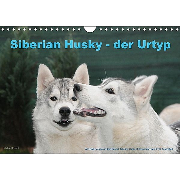 Siberian Husky - der Urtyp (Wandkalender 2020 DIN A4 quer), Michael Ebardt