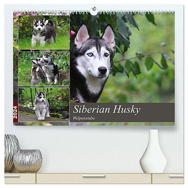 Siberian Husky - Welpenstube (hochwertiger Premium Wandkalender 2024 DIN A2 quer), Kunstdruck in Hochglanz, Barbara Mielewczyk