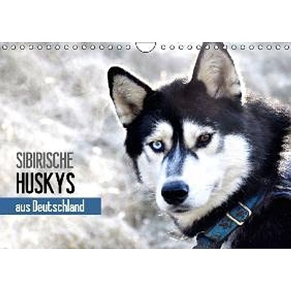 Sibirische Huskys aus Deutschland (Wandkalender 2015 DIN A4 quer), Andrea Hentschel