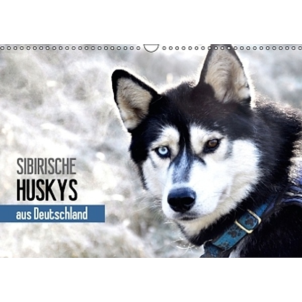 Sibirische Huskys aus Deutschland (Wandkalender 2016 DIN A3 quer), Andrea Hentschel