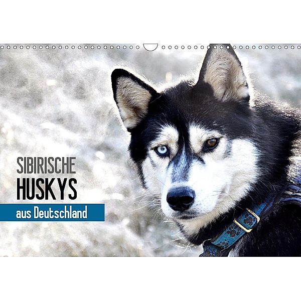 Sibirische Huskys aus Deutschland (Wandkalender 2021 DIN A3 quer), Andrea Hentschel