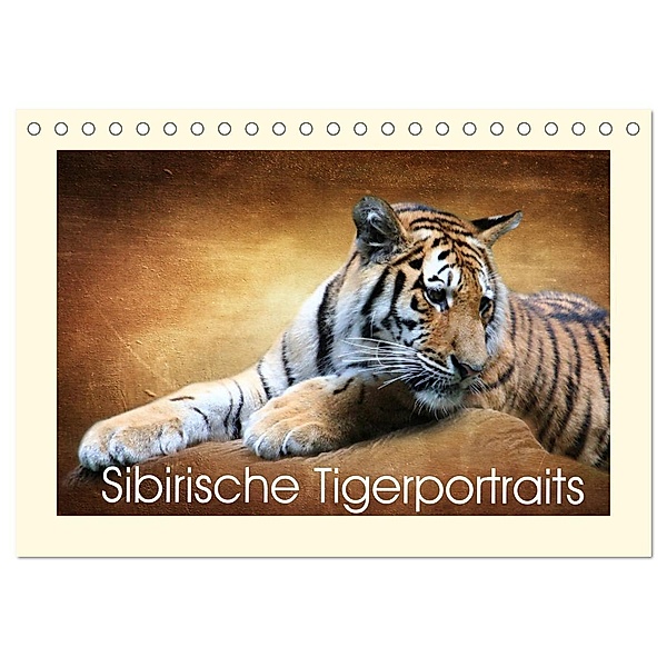 Sibirische Tigerportraits (Tischkalender 2024 DIN A5 quer), CALVENDO Monatskalender, Heike Hultsch