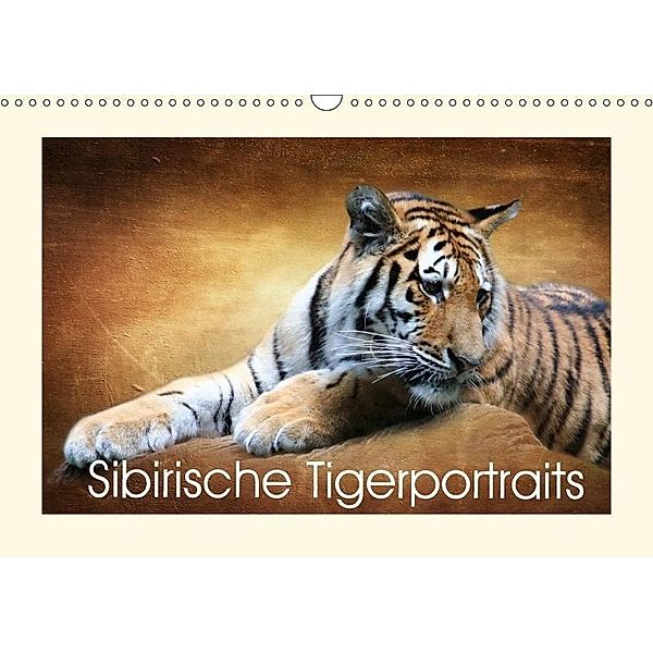 Sibirische Tigerportraits (Wandkalender 2017 DIN A3 quer), Heike Hultsch