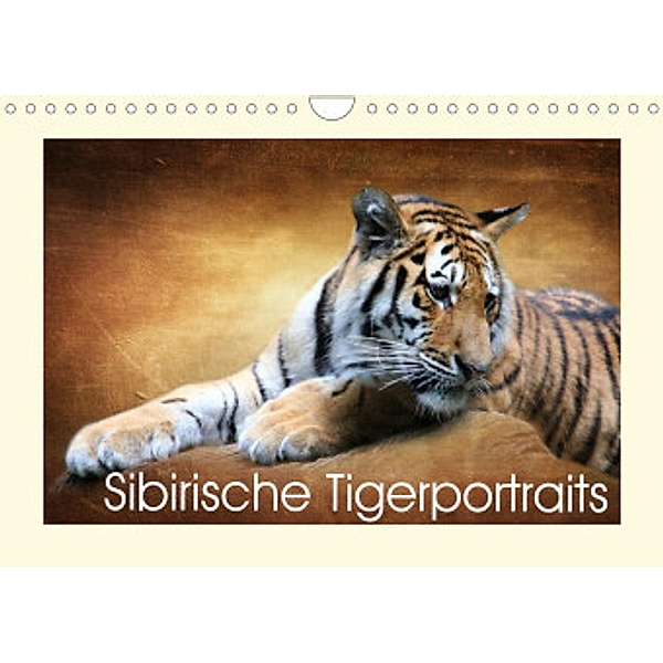 Sibirische Tigerportraits (Wandkalender 2022 DIN A4 quer), Heike Hultsch