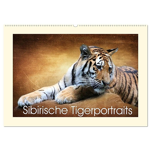 Sibirische Tigerportraits (Wandkalender 2024 DIN A2 quer), CALVENDO Monatskalender, Heike Hultsch