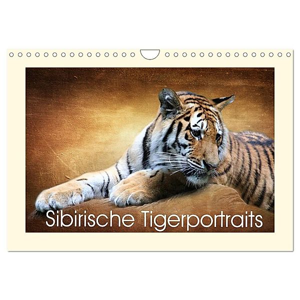 Sibirische Tigerportraits (Wandkalender 2024 DIN A4 quer), CALVENDO Monatskalender, Heike Hultsch