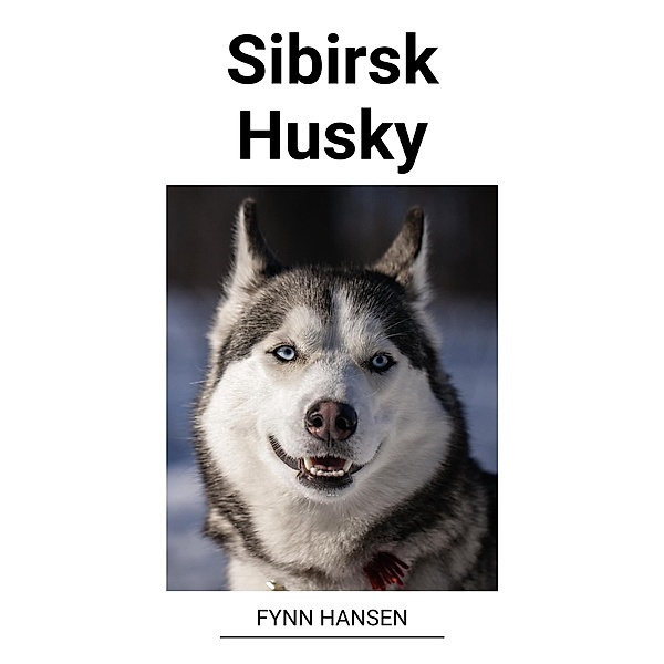 Sibirsk Husky, Fynn Hansen