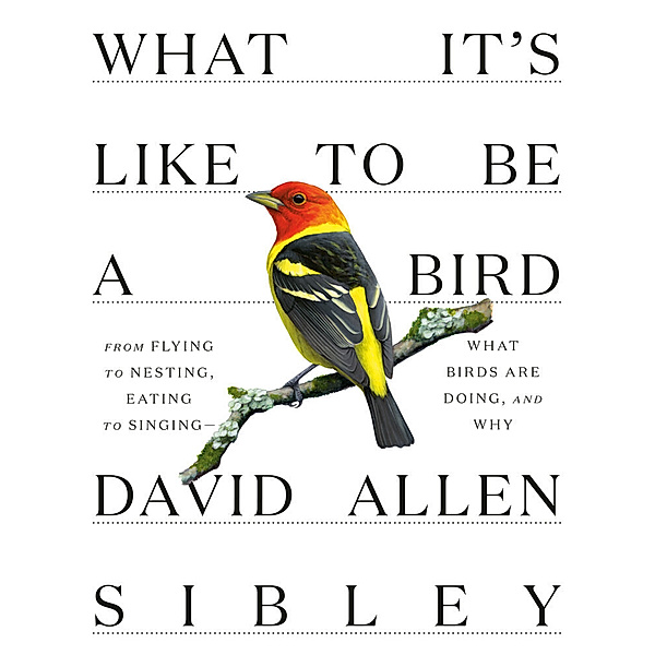 Sibley Guides / What It's Like to Be a Bird, David Allen Sibley