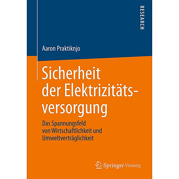 Sicherheit der Elektrizitätsversorgung, Aaron Praktiknjo