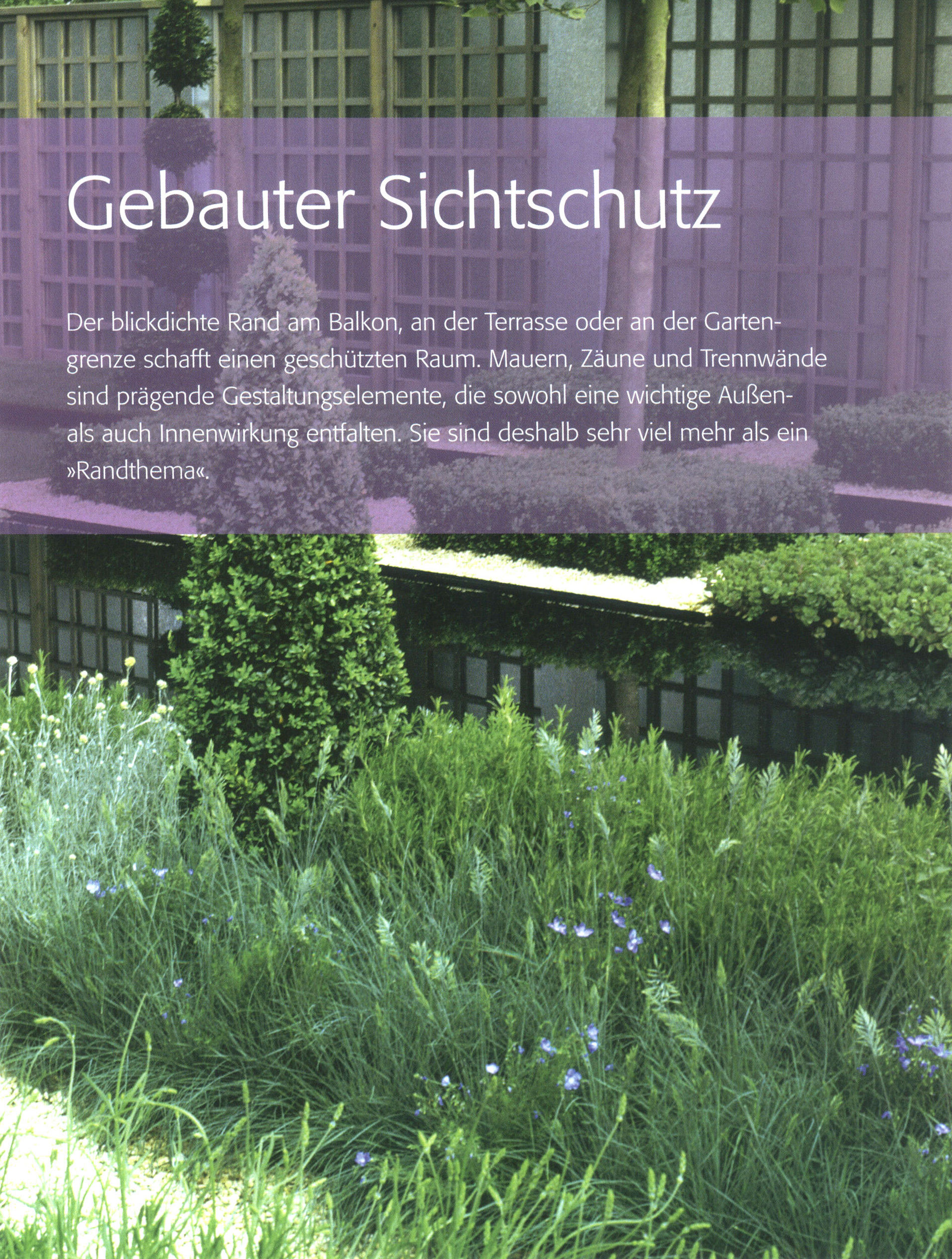 Sichtschutz Buch von Bärbel Faschingbauer versandkostenfrei - Weltbild.ch